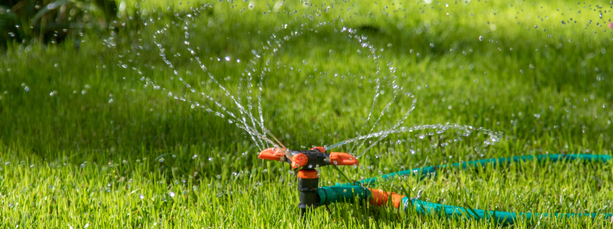 schaduw Vluchtig minimum Bewatering - Wenninkhof