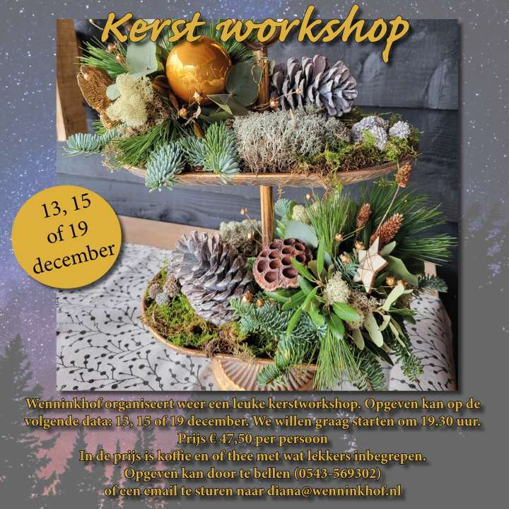Kerstworkshop 2022 - Wenninkhof