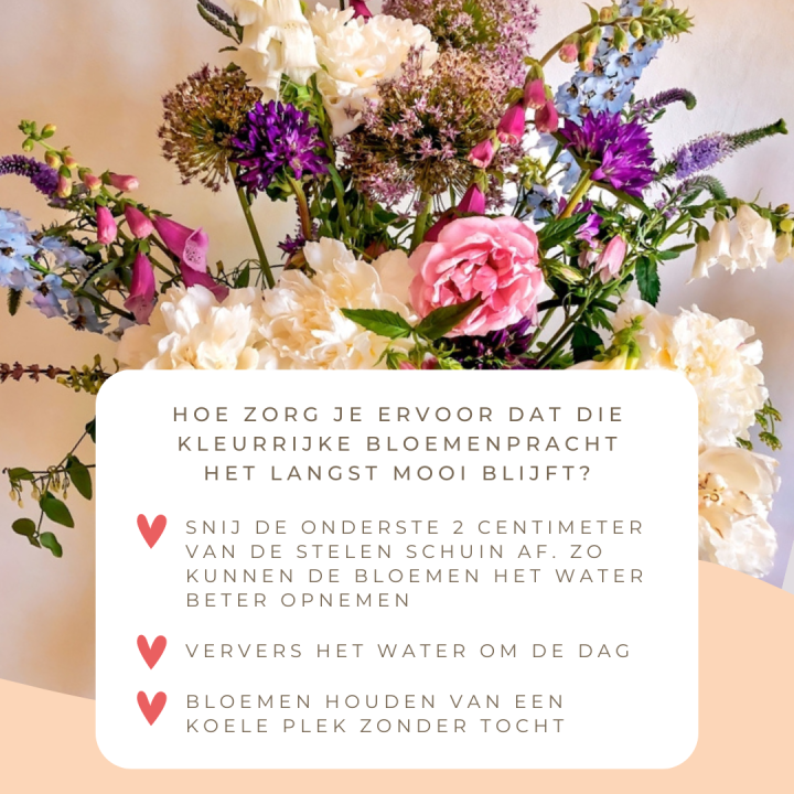 Moederdagcadeau | bloemen kopen | tuincentrum Winsterswijk - Meddo | Wenninkhof