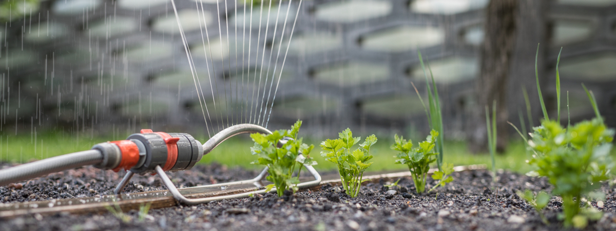 Edele genie Vertrappen Bewatering - Wenninkhof