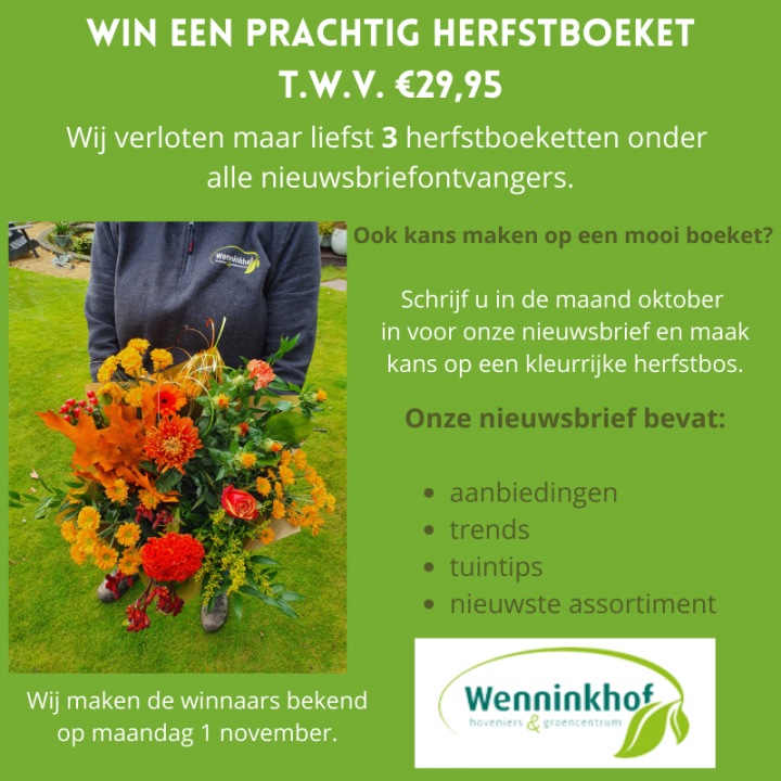 WIN een prachtig herfstboeket - Groencentrum Wenninkhof