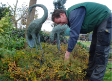 Tuinonderhoud Tuinonderhoud
