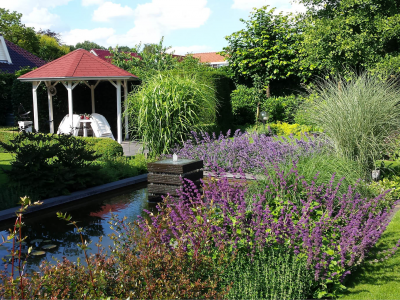 Kleur in de tuin